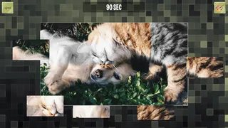 Скриншот 4 к игре Good puzzle: Animals