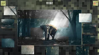 Скриншот 5 к игре Good puzzle: Animals