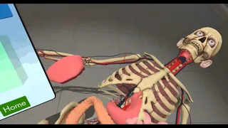 Скриншот 4 к игре Human Constructor VR