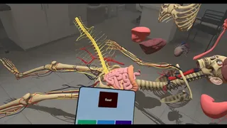 Скриншот 7 к игре Human Constructor VR