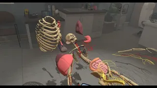 Скриншот 8 к игре Human Constructor VR