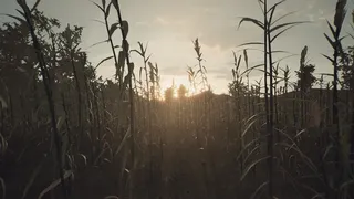 Скриншот 2 к игре It's Not About The End