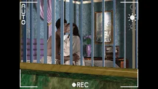 Скриншот 2 к игре Voyeur