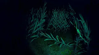 Скриншот 2 к игре Last Visit