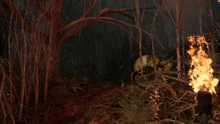 Скриншот 7 к игре The Weald