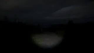 Скриншот 1 к игре Disquiet Fields