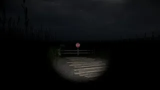 Скриншот 4 к игре Disquiet Fields