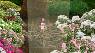 Скриншот 3 к игре Tree Trunk Brook