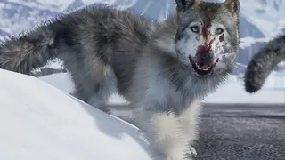 Скриншот 8 к игре FRIGID