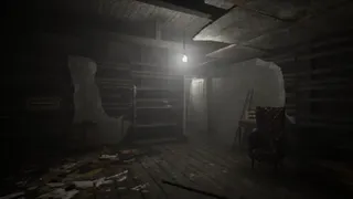 Скриншот 1 к игре The Door in the Basement