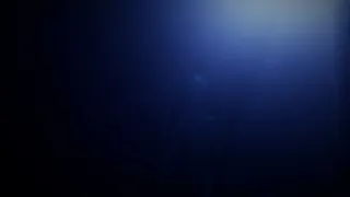 Скриншот 2 к игре Alien Abduction Experience