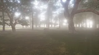 Скриншот 3 к игре ZendoVR