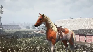 Скриншот 2 к игре Horse Shelter 2022