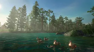 Скриншот 6 к игре Forester Simulator