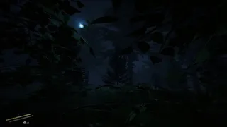 Скриншот 1 к игре Beast Nature