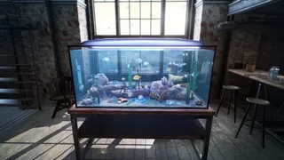 Скриншот 1 к игре Fishkeeper