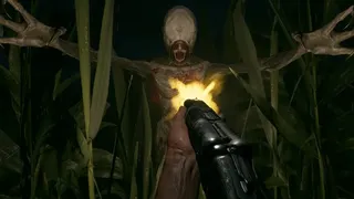 Скриншот 3 к игре Fields of Fear