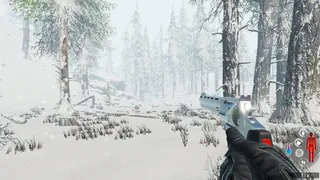 Скриншот 2 к игре Snow Survival