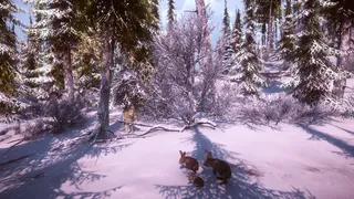 Скриншот 6 к игре Snow Survival