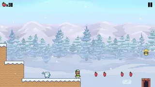 Скриншот 2 к игре Ronister Adventure