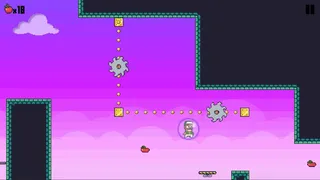 Скриншот 6 к игре Ronister Adventure