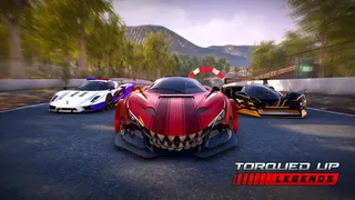 Скриншот 3 к игре Torqued Up Legends