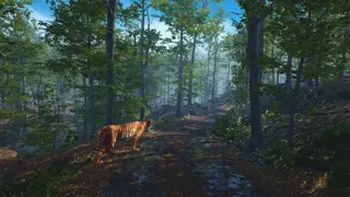 Скриншот 1 к игре Big Cat Rescue VR