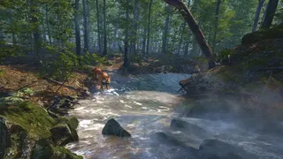 Скриншот 2 к игре Big Cat Rescue VR