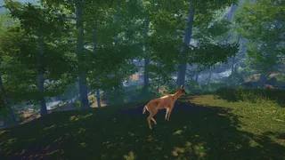 Скриншот 4 к игре Big Cat Rescue VR