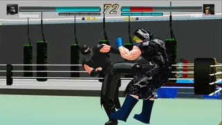 Скриншот 6 к игре Unlimited Fight