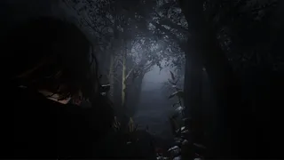 Скриншот 2 к игре Cult of Dawn