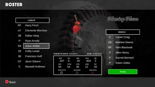 Скриншот 3 к игре Fly Away Baseball