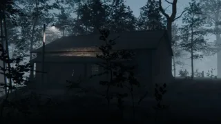 Скриншот 1 к игре Hand Simulator: Horror