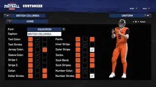 Скриншот 8 к игре Doug Flutie's Maximum Football 2020