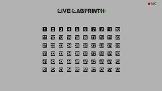 Скриншот 1 к игре Live Labyrinth