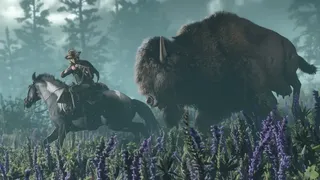 Скриншот 3 к игре Red Dead Online