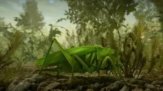 Скриншот 2 к игре Insect Worlds