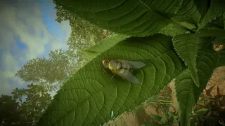 Скриншот 8 к игре Insect Worlds