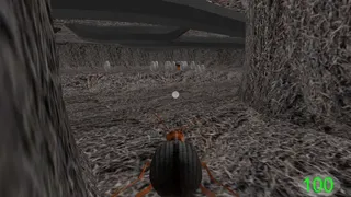 Скриншот 5 к игре Insect: Bombardier beetle