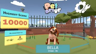 Скриншот 2 к игре PetDrivr