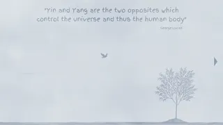 Скриншот 8 к игре Yin Yang
