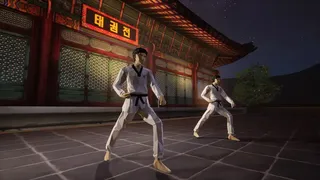 Скриншот 5 к игре Taekwondo Demonstration Team Simulator
