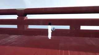 Скриншот 6 к игре bridg