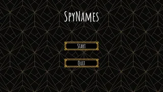 Скриншот 1 к игре SpyNames