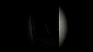 Скриншот 4 к игре Desdemona