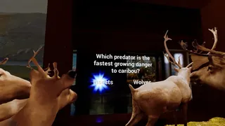 Скриншот 3 к игре Beyond The Diorama: Caribou World