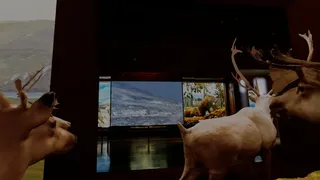 Скриншот 5 к игре Beyond The Diorama: Caribou World