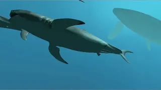 Скриншот 1 к игре VR Shark