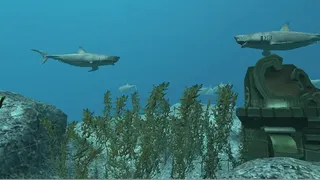 Скриншот 3 к игре VR Shark