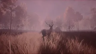 Скриншот 7 к игре Huntfeast